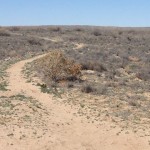 A Way Into the Desert Space